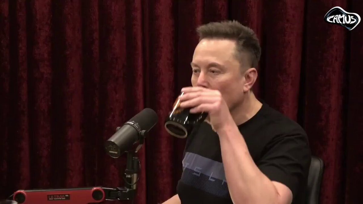Elon Musk 图片 1