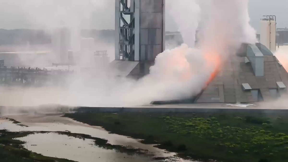 Elon Musk 图片 1